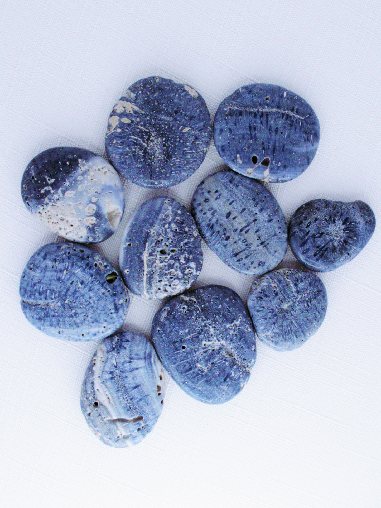 Blue Coral Flatstone