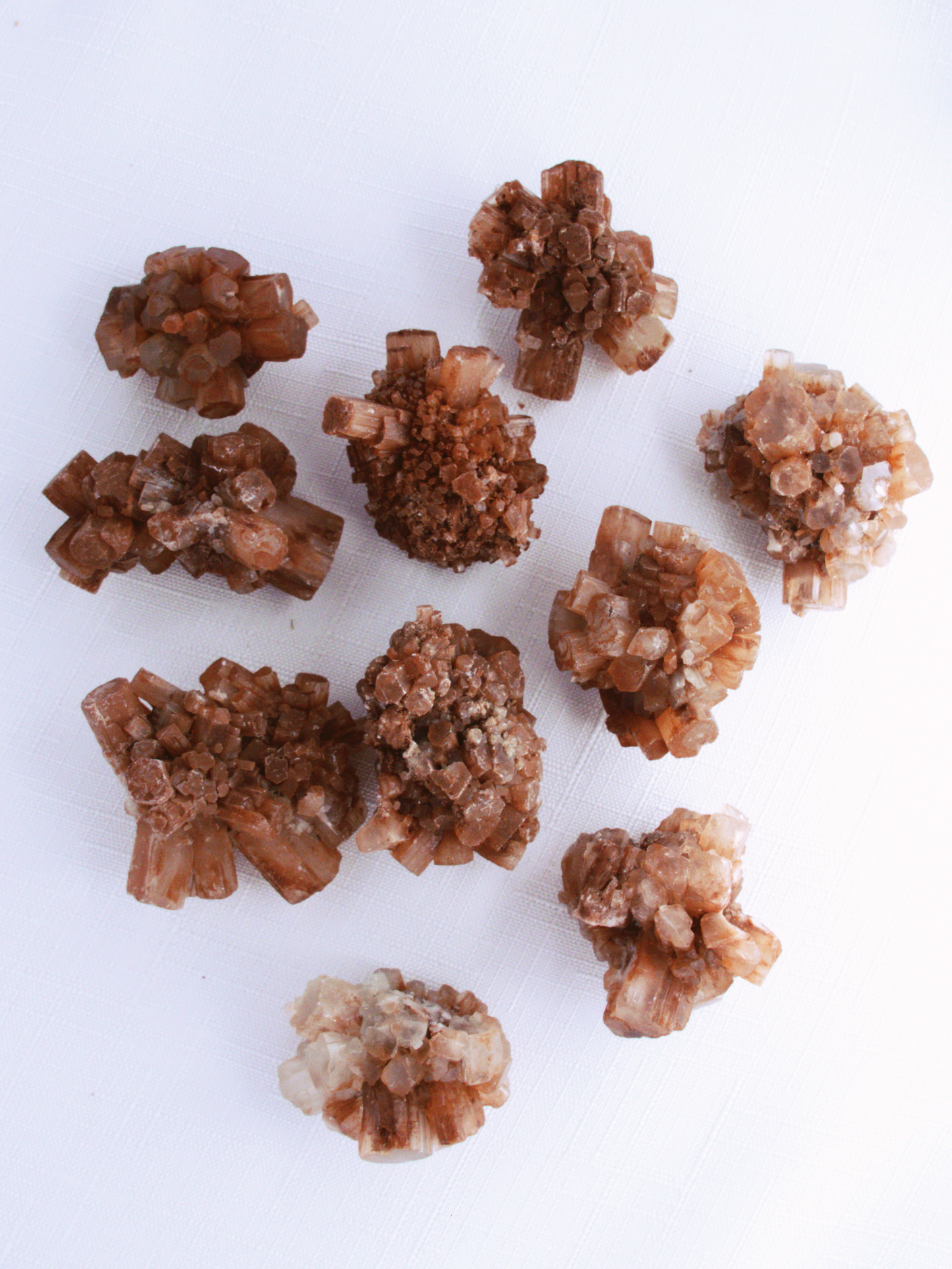 Aragonite Sputnik Cluster