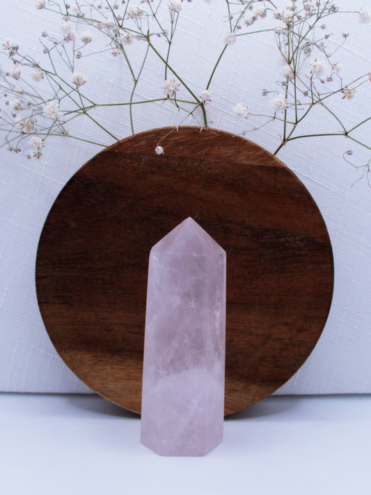 Rose Quartz Polished Points